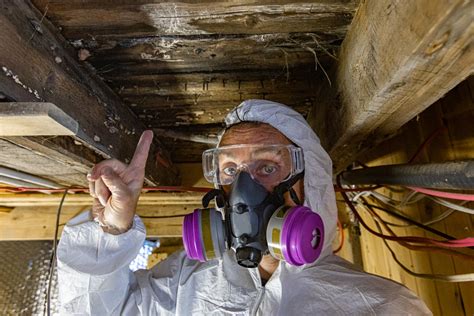 Mold Removal in the Basement: Getting Rid of Mold for Good