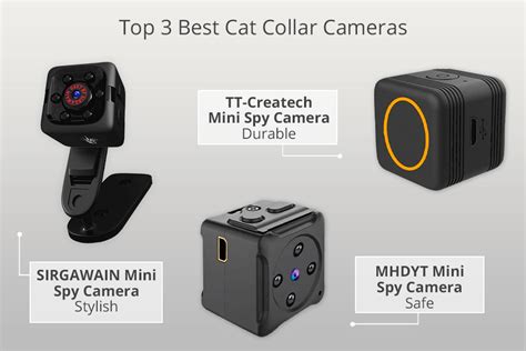 5 Best Cat Collar Cameras in 2024