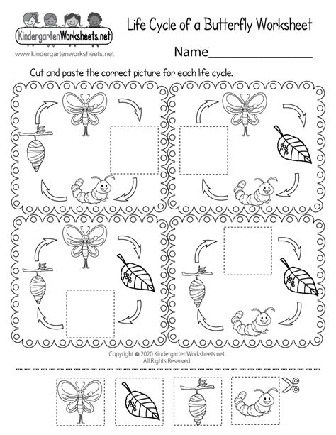 Life Cycle of a Butterfly Worksheet - Free Printable, Digital, & PDF