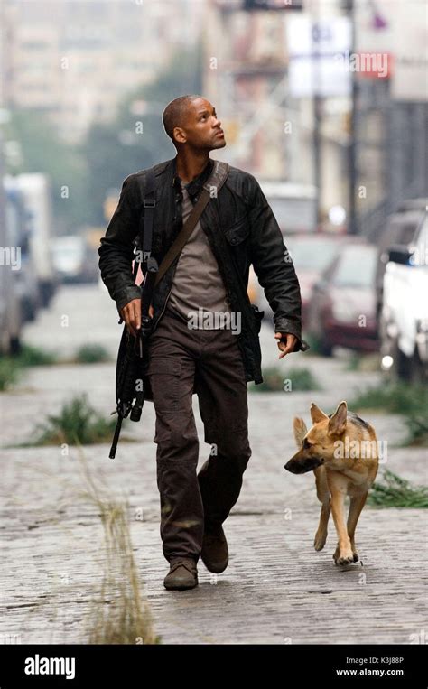 I AM LEGEND WILL SMITH as Robert Neville, KONA / ABBY as Sam I AM ...