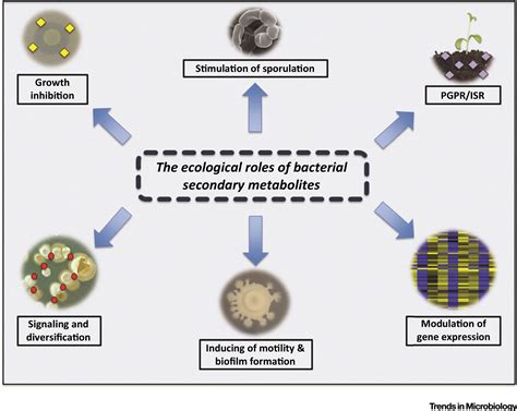 The Ecological Role of Volatile and Soluble Secondary Metabolites ...