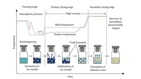 Pharma Knowledge: Lyophilization or Freeze Drying