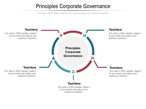 Principles Corporate Governance Ppt Powerpoint Presentation Show Icon ...