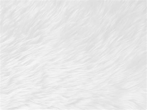 Premium Photo | White clean wool texture background light natural sheep wool white seamless ...