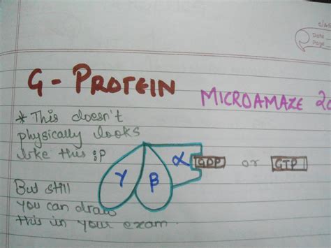 Microamaze: G protein coupled receptors and signalling.