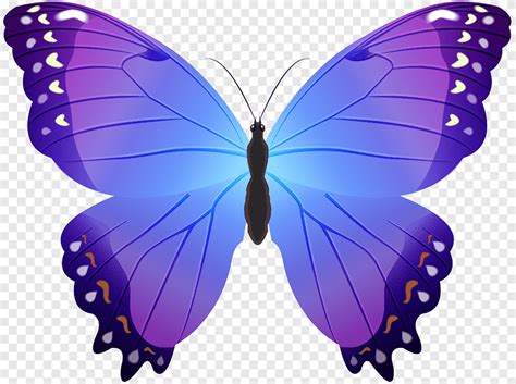 Illustration de papillon violet et noir, papillon, papillon violet, bleu, brosse Footed ...