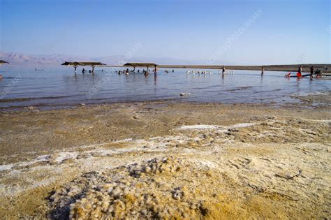 Dead Sea salt crystals - Stock Image - C055/2429 - Science Photo Library