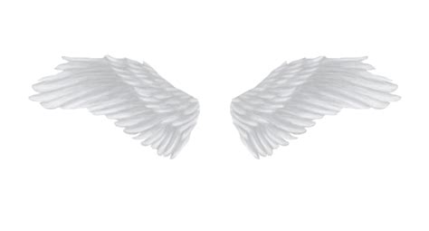 Angel Wings Cartoon, Angel Wings Clip Art, Angel Wings Icon, Angel Wings Images, Angel Wings ...