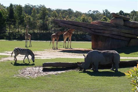 Johnsons Around Oz 2012: Day 61 Brisbane (Australia Zoo)