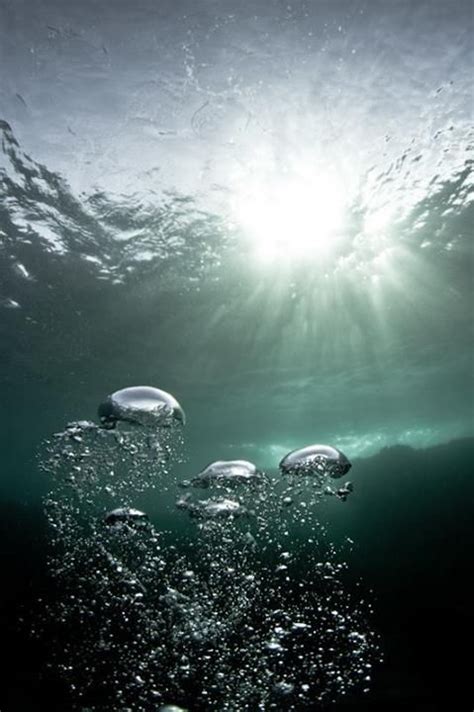 Pin by Natassa Fotinakopoulou on Sea Memories | Underwater bubbles, Underwater, Underwater ...