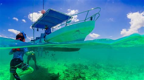 🤿 The 7 Best Puerto Rico Snorkeling Tours [2024 Reviews] | World Guides To Travel