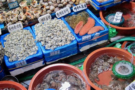 Jagalchi Fish Market The Biggest Seafood Market in Korea - Kulture Kween