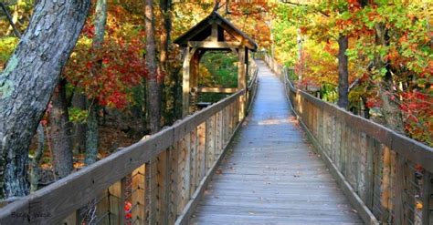 Cheaha State Park | Alapark