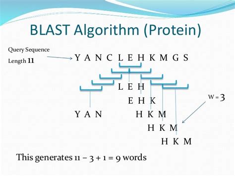 Blast Algorithm