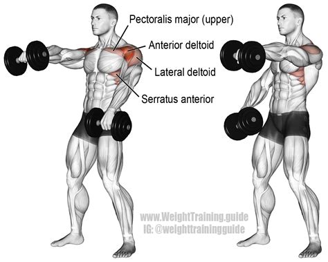 Alternating dumbbell front raise. Main muscles worked: Anterior deltoid, Lateral Deltoid ...