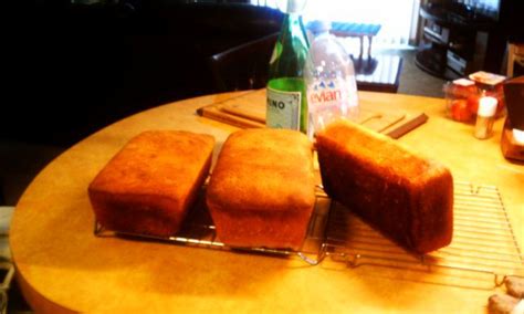 Salt Rising Bread Starter | Salt rising bread, Bread starter, Recipes