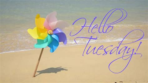 Happy Tuesday coastal lovers ~ | Happy tuesday morning, Tuesday greetings, Hello tuesday