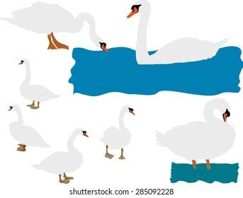 Swan Vector Silhouette Stock Vector (Royalty Free) 285092228 | Shutterstock