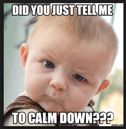 did-you-just-tell-me-calm-down-meme | TheArtGorgeous