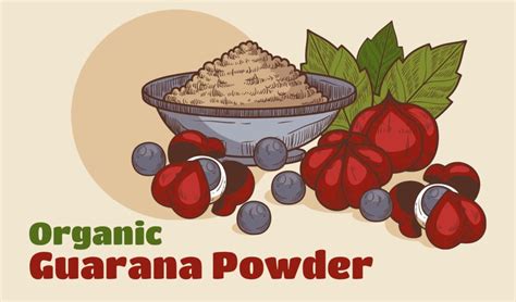 Guarana Powder - What Is It Exactly? – Healthy Blog