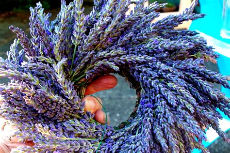 Lavender Wreath DIY