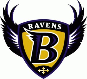 Baltimore Ravens Color Codes Hex, RGB, and CMYK - Team Color Codes