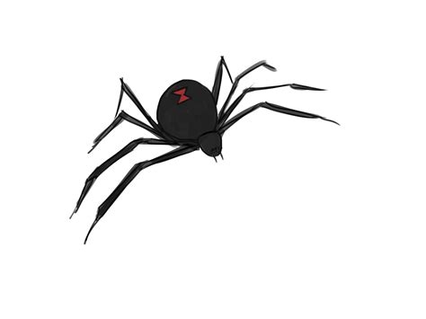 5 Ways to Draw a Spider - wikiHow