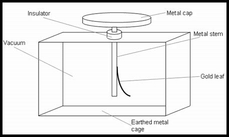 Diagram of an electroscope - Science - Some Natural Phenomena - 13080359 | Meritnation.com