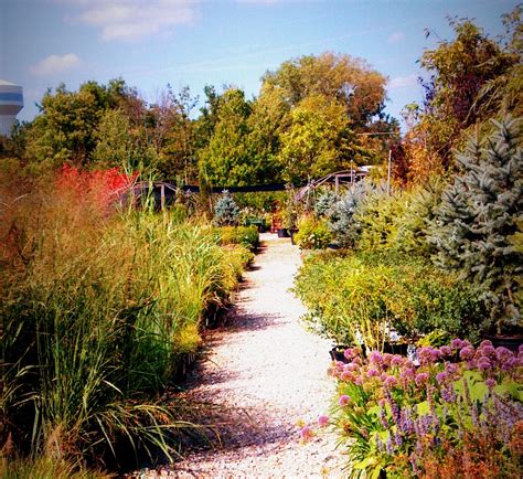 Seely's Landscape Nursery - Hilliard, OH 43026