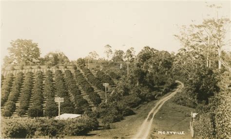 Montville | Queensland Places