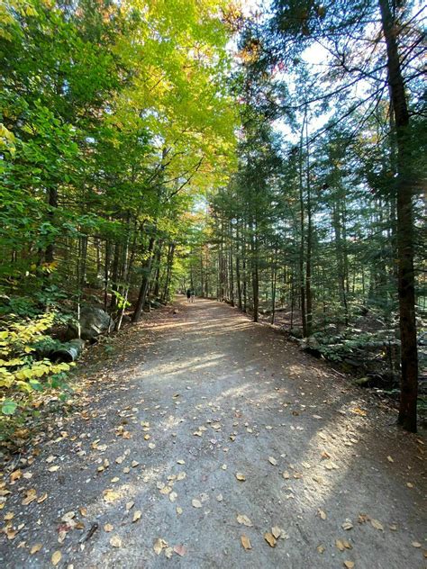 Photos of Franconia Falls Trail - New Hampshire | AllTrails