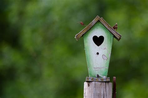 A Nesting Place for All the Love You Have Ever Known | by The Good Men Project | Hello, Love ...