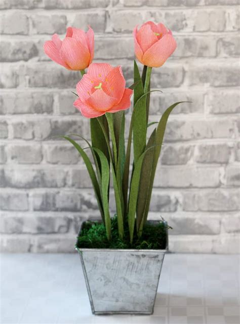 potted tulips - Finding Time To Create