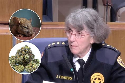 Rats Eating Marijuana in Louisiana Police Station Evidence Room