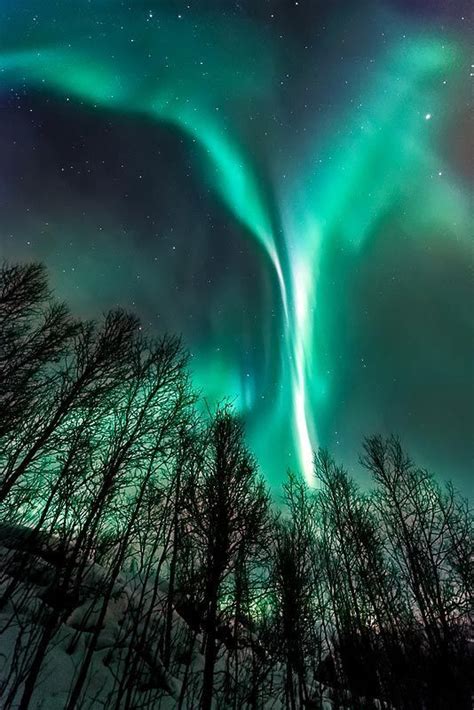 aurora borealis - Bing imag | Nordlichter, Sonnenuntergänge, Polarlichter