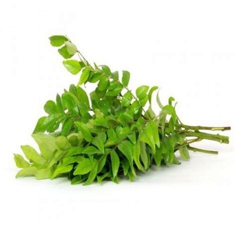 Curry Leaves – Harish Food Zone