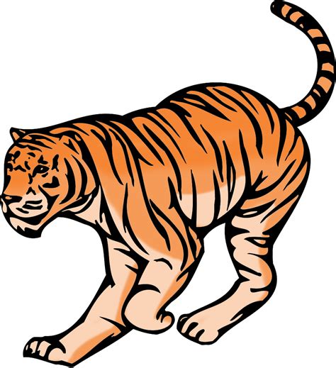 Tiger Clipart