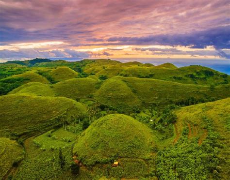 The Teletubbies Hill’s In Nusa Penida Tour | by New Bali | Medium