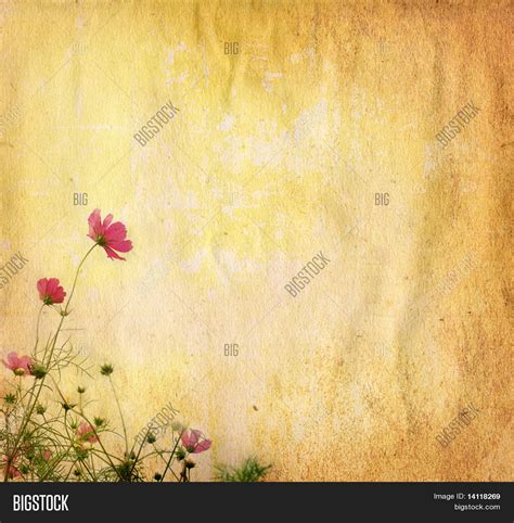 Old Flower Paper Image & Photo (Free Trial) | Bigstock