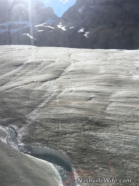 Nashville Wife: Athabasca Glacier