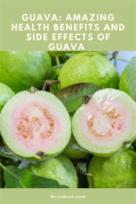 Guava: Amazing Health Benefits And Side Effects Of Guava | Home remedies, Health, Health benefits