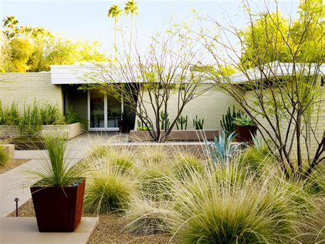 Desert Landscaping Ideas from a Phoenix Front Yard - Sunset Magazine