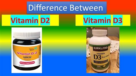 Difference Between Vitamin D2 and Vitamin D3 - YouTube