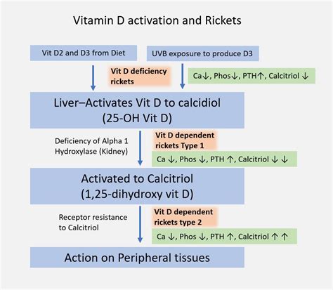 Rickets and Osteomalacia Causes: Why Do These Diseases Occur?