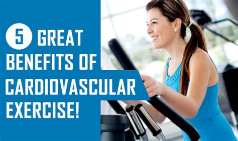 5 Great Benefits Of Cardiovascular Exercise! - The Wellness Corner