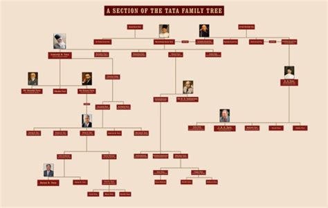 Tata Family Tree PDF | PDF