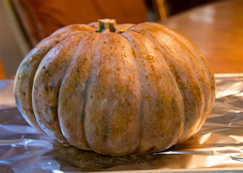 GardenCuizine: Cooking Calabaza Squash #pumpkin #pumpkinpuree # ...