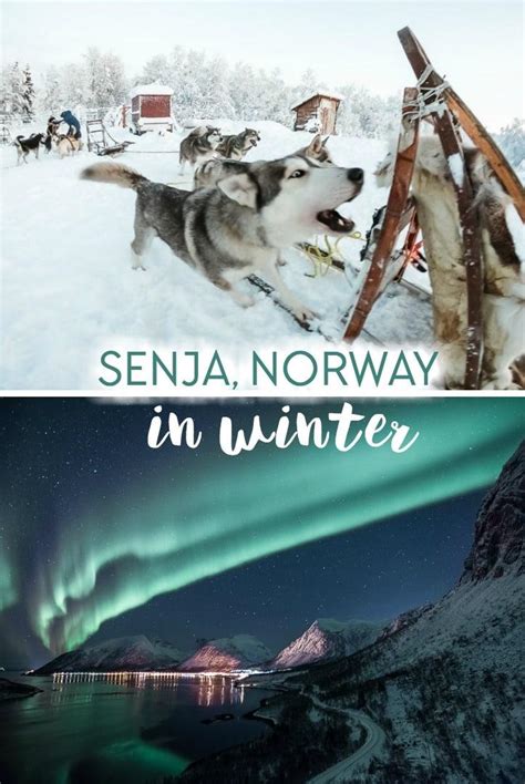 Senja, Norway: Huskies, Northern Lights & Everything Winter - Heart My ...