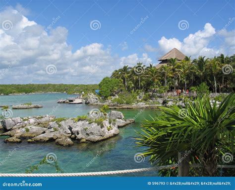 Xel Ha stock image. Image of foliage, resort, scuba, bushes - 596793