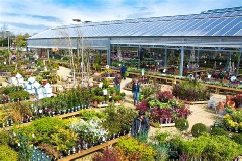 Garden Centers Near Me Open | Family garden, Garden center, Garden